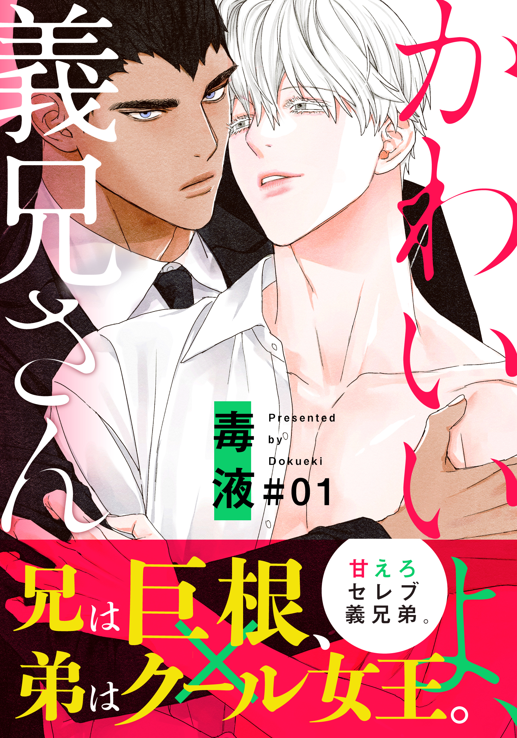 【期間限定　無料お試し版】かわいいよ、義兄さん(1)