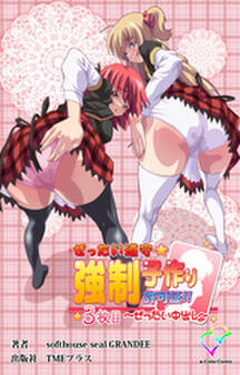 ぜったい遵守☆強制子作り許可証!! 3枚目 ~ぜったい中出し~【フルカラー】