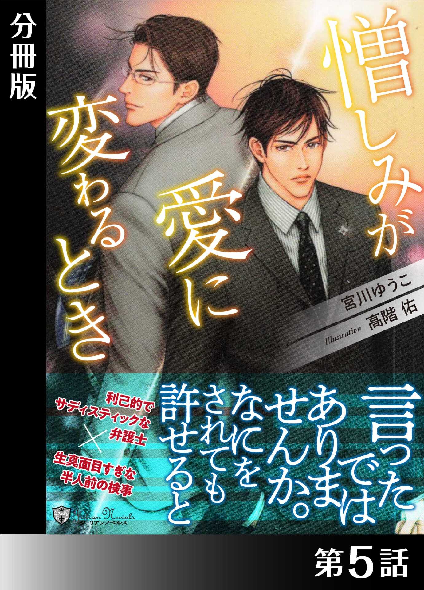憎しみが愛に変わるとき＜特別版＞分冊版５
