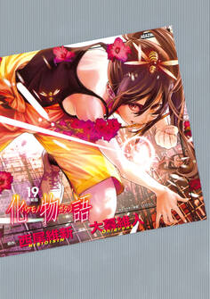 化物語(19) 特装版