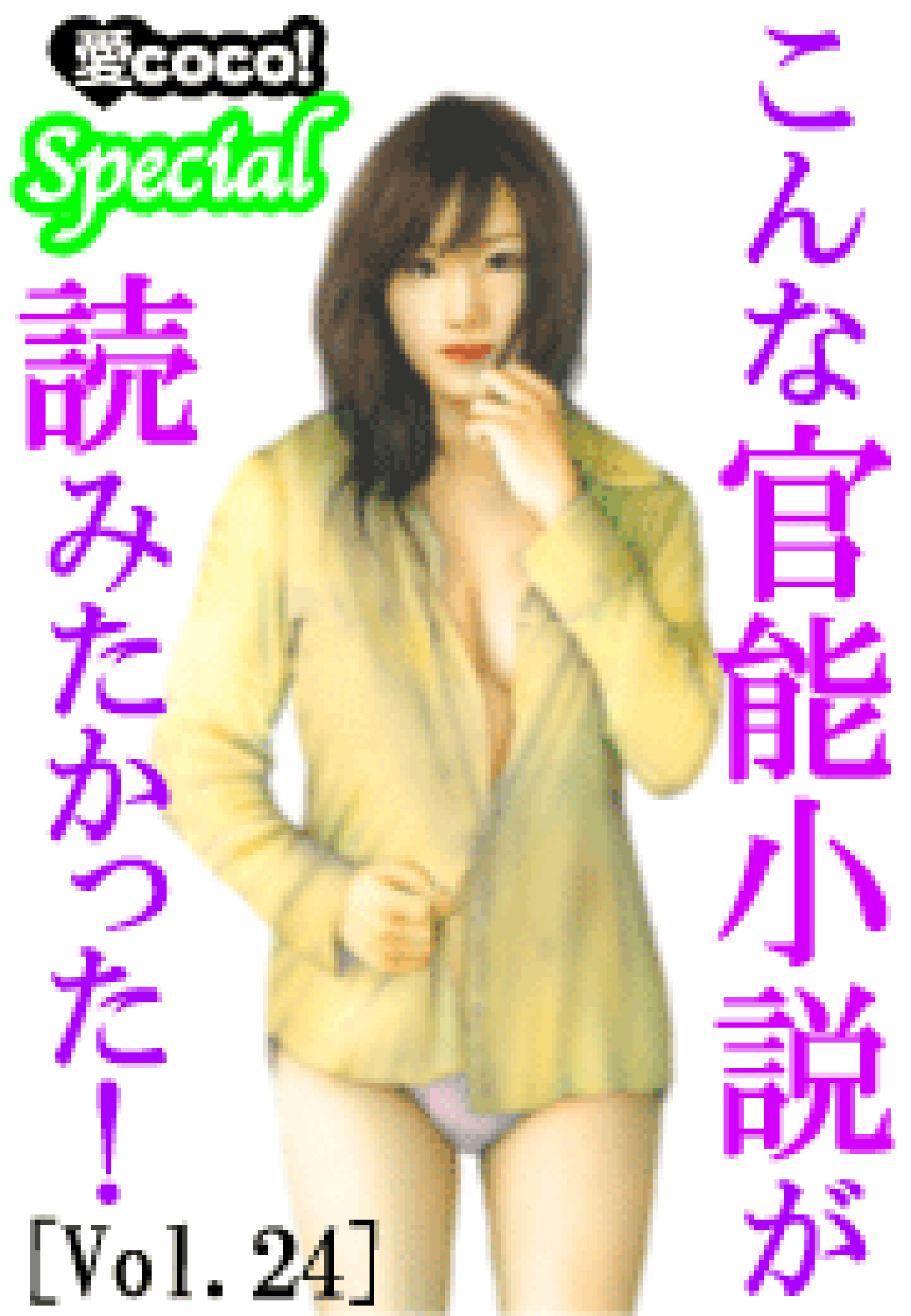 こんな官能小説が読みたかった！vol.24