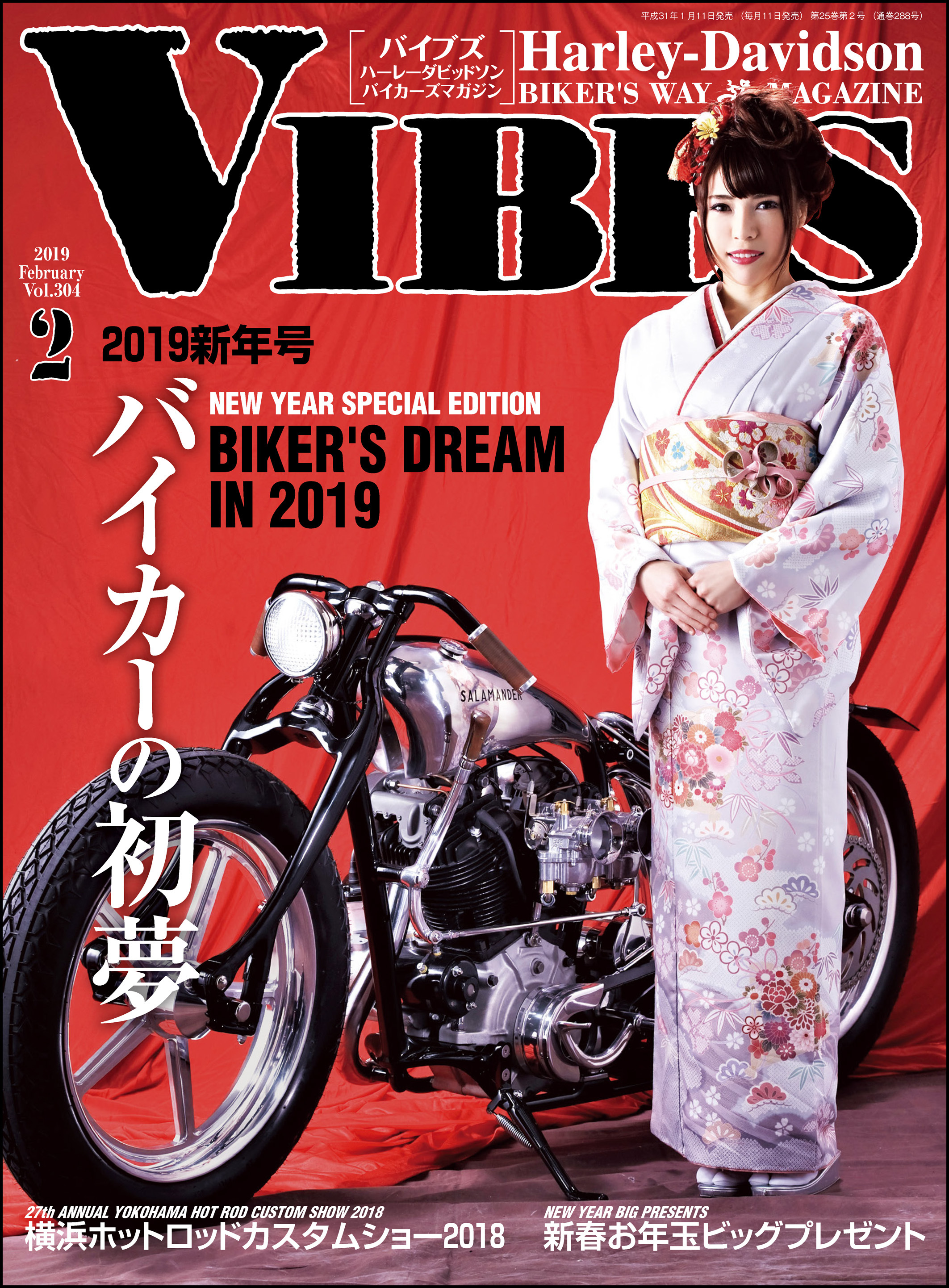 VIBES【バイブズ】2019年02月号