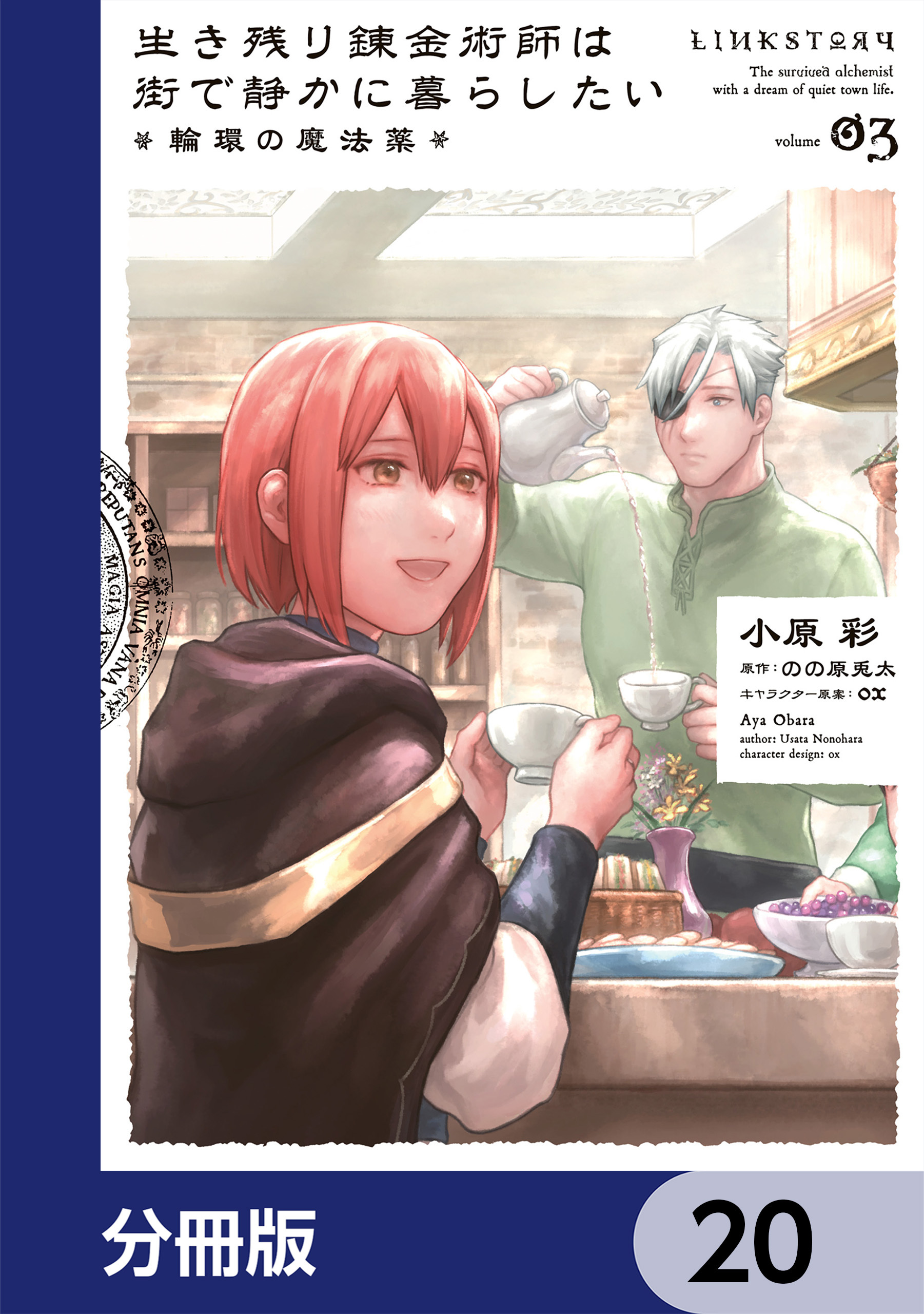 生き残り錬金術師は街で静かに暮らしたい ～輪環の魔法薬～【分冊版】　20