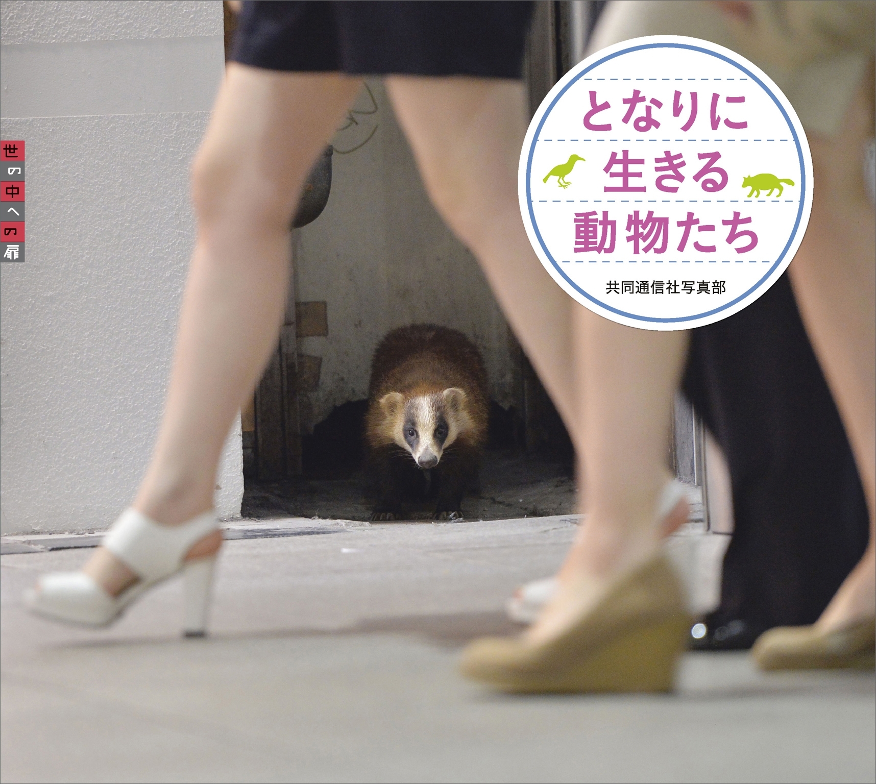 となりに生きる動物たち