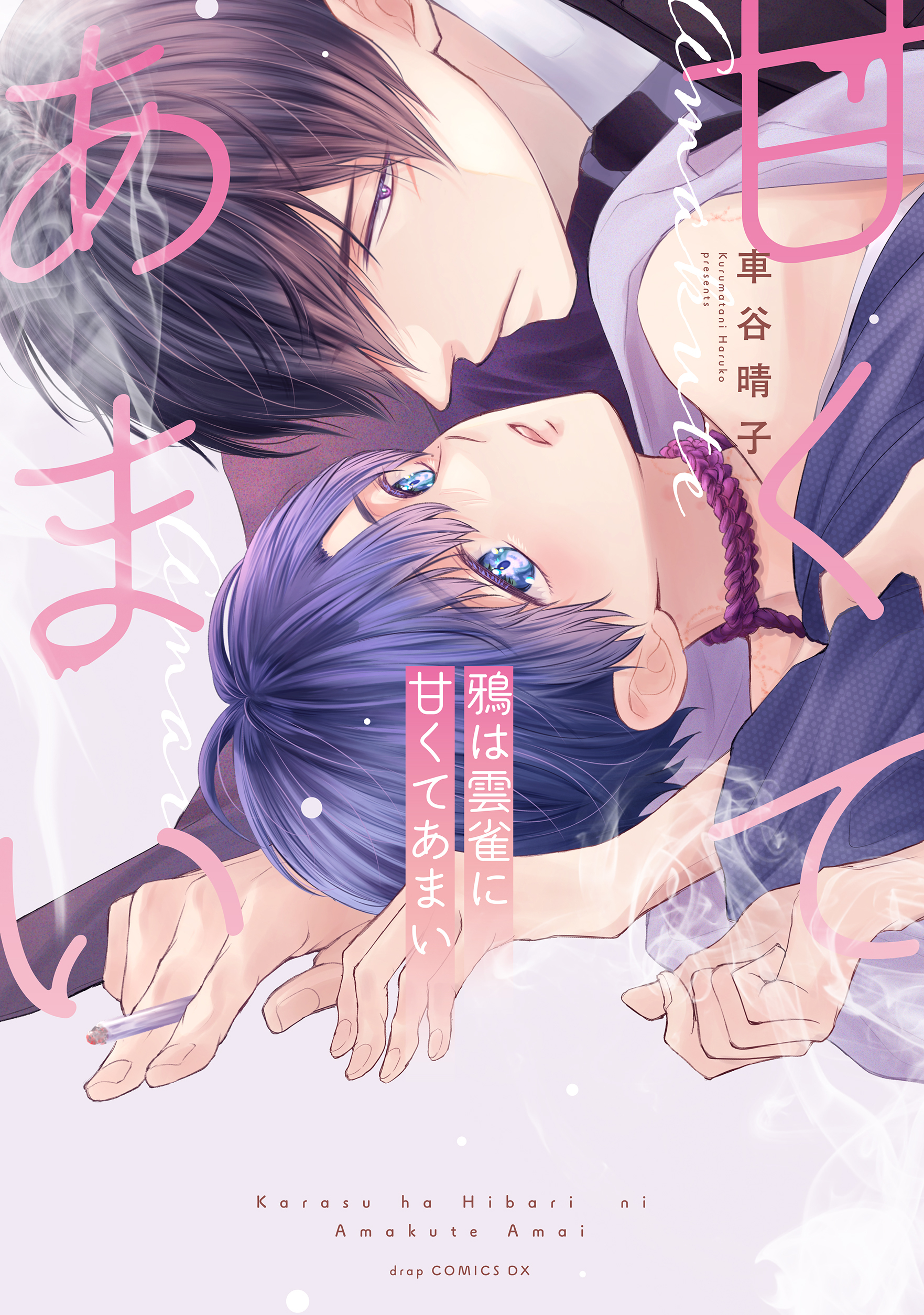 鴉は雲雀に甘くてあまい【電子限定描き下ろし付き】