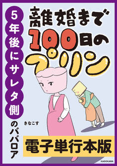 離婚まで100日のプリン 5年後にサレタ側のババロア【電子単行本版】