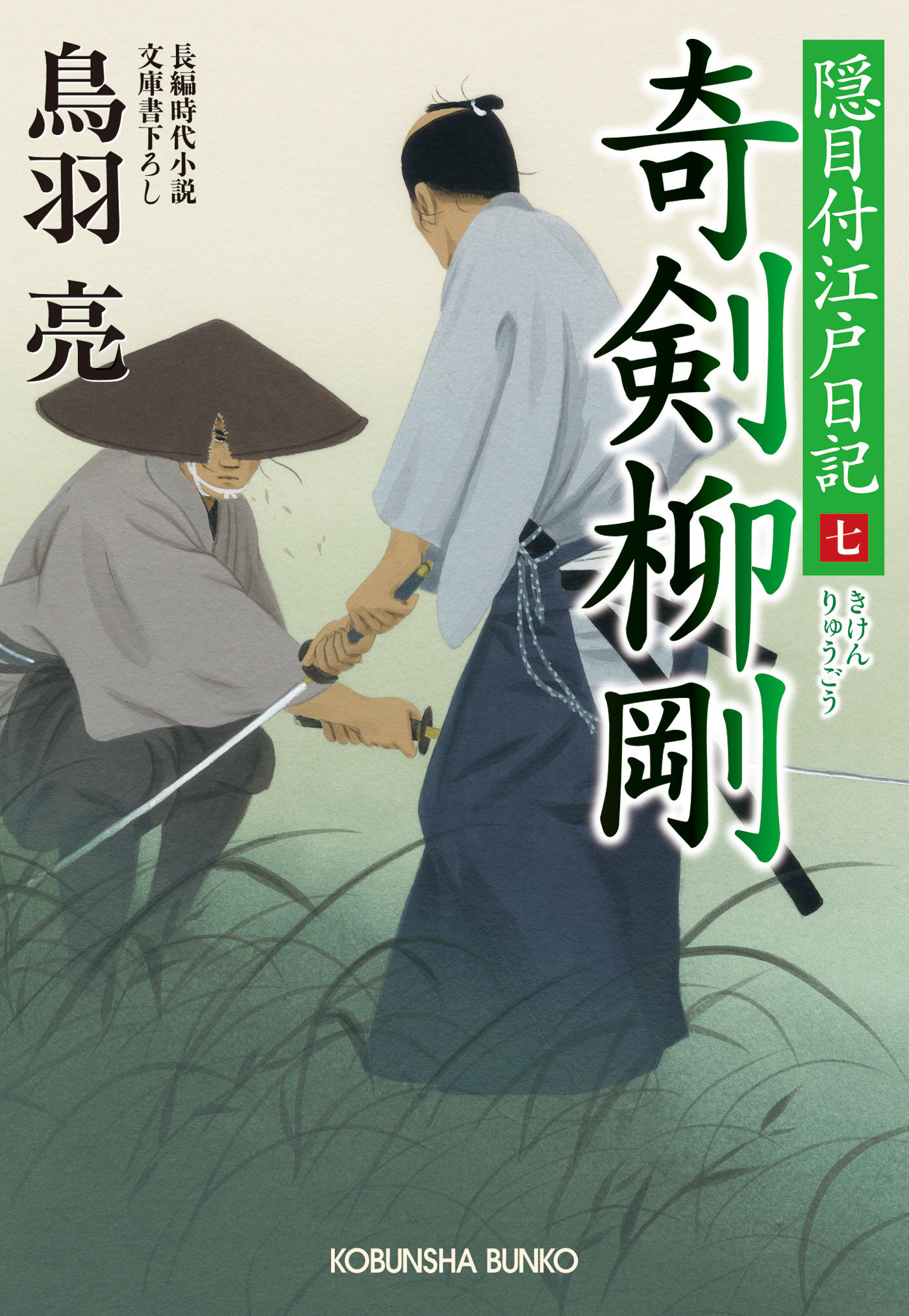 奇剣　柳剛（りゅうごう）　隠目付江戸日記（七）