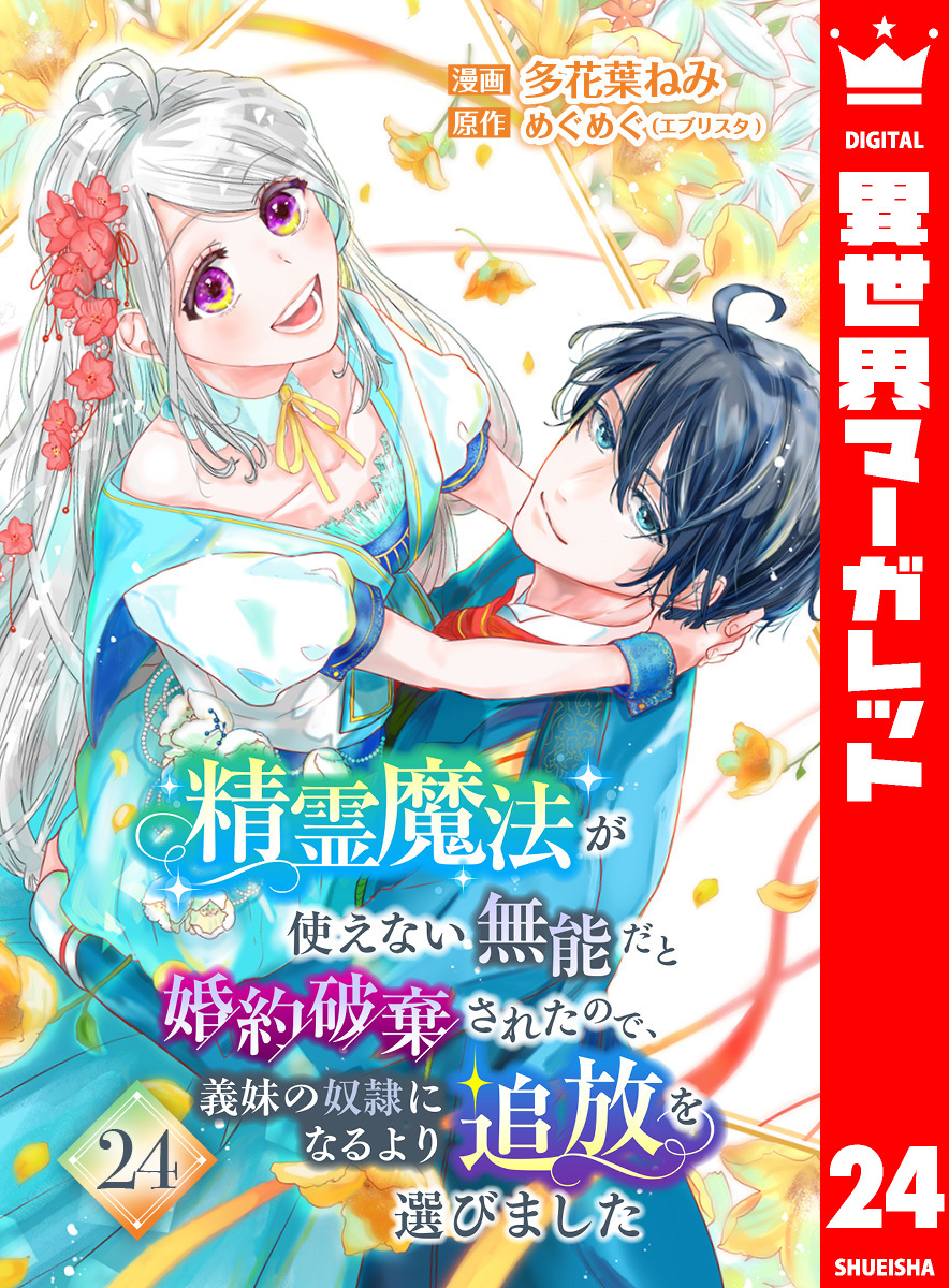 精霊魔法が使えない無能だと婚約破棄されたので、義妹の奴隷になるより追放を選びました 24