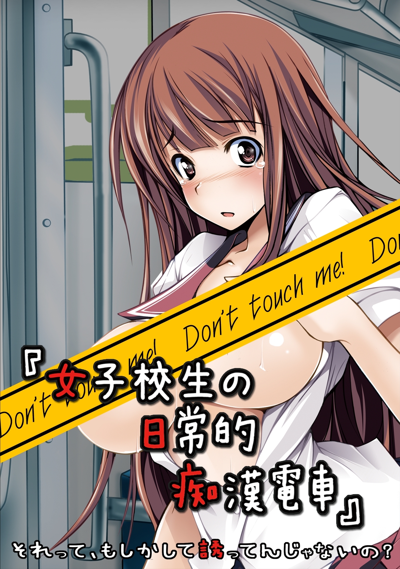 女子校生の日常的痴漢電車