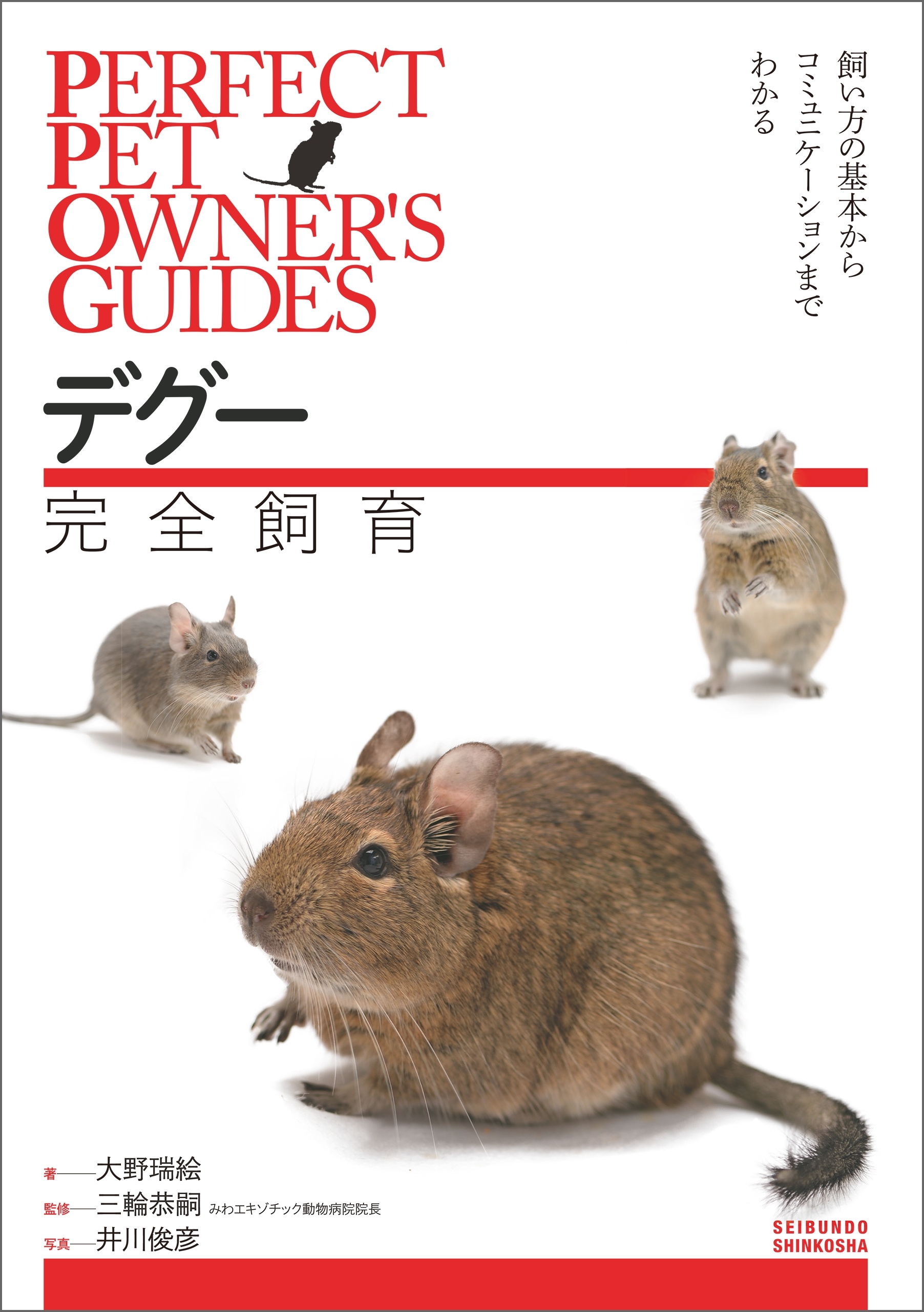 デグー完全飼育