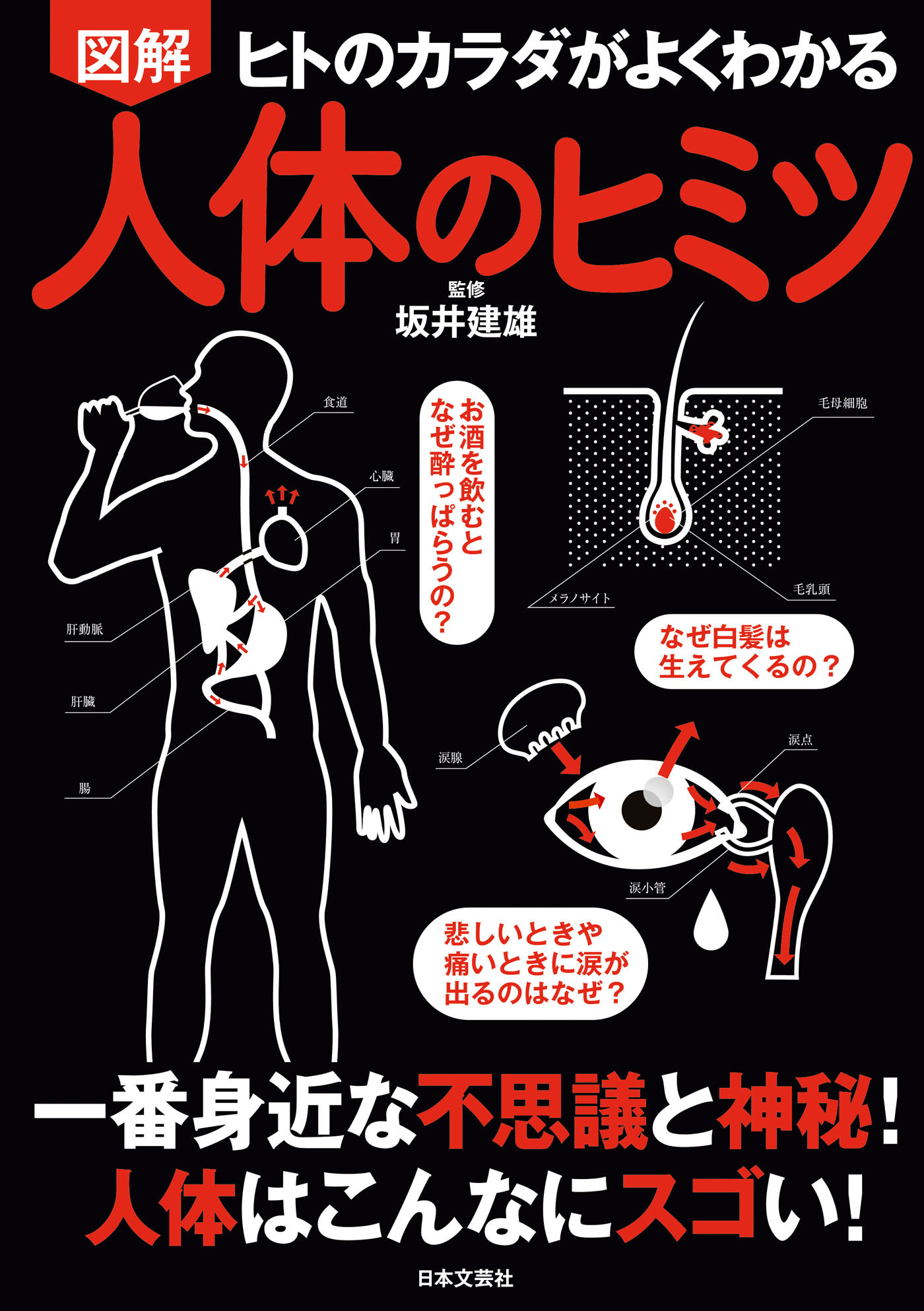 図解　人体のヒミツ