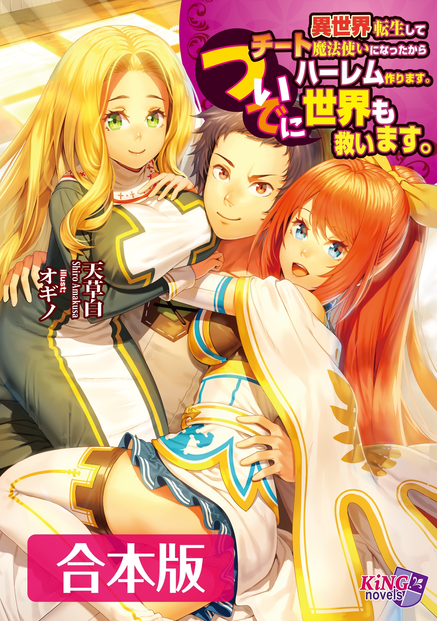 異世界転生してチート魔法使いになったからハーレム作ります。ついでに世界も救います。 合本版