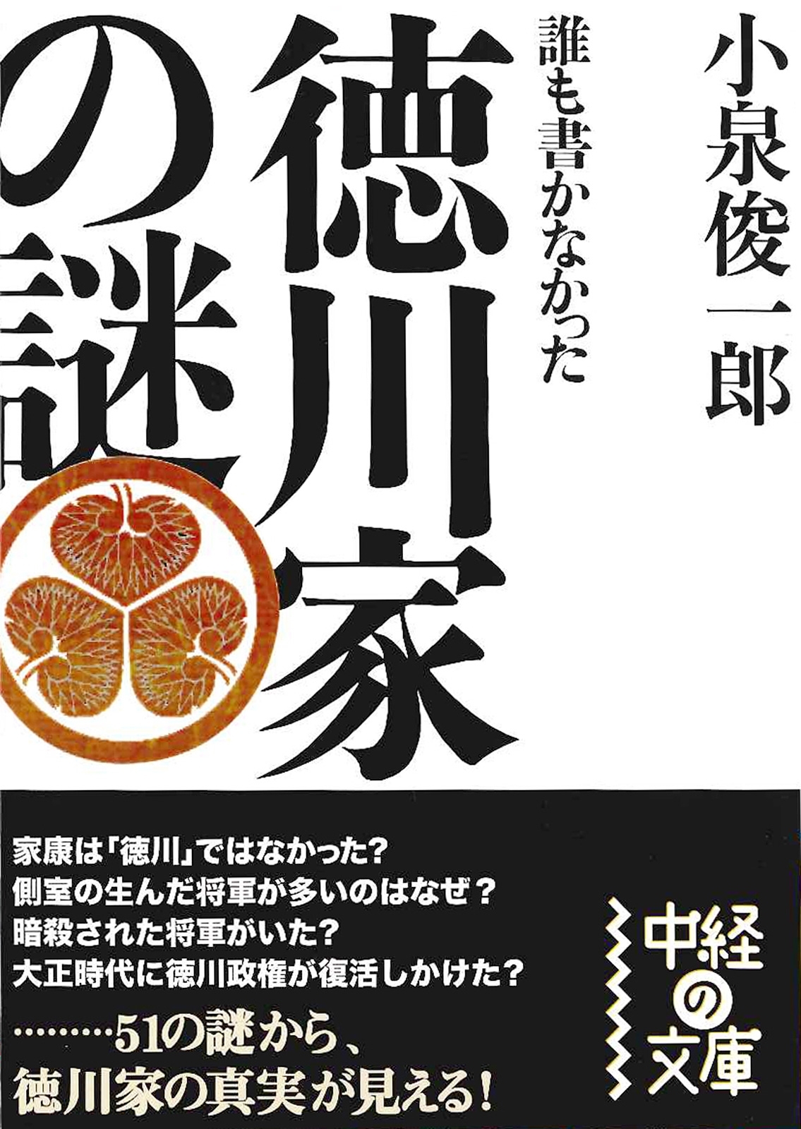 誰も書かなかった  徳川家の謎