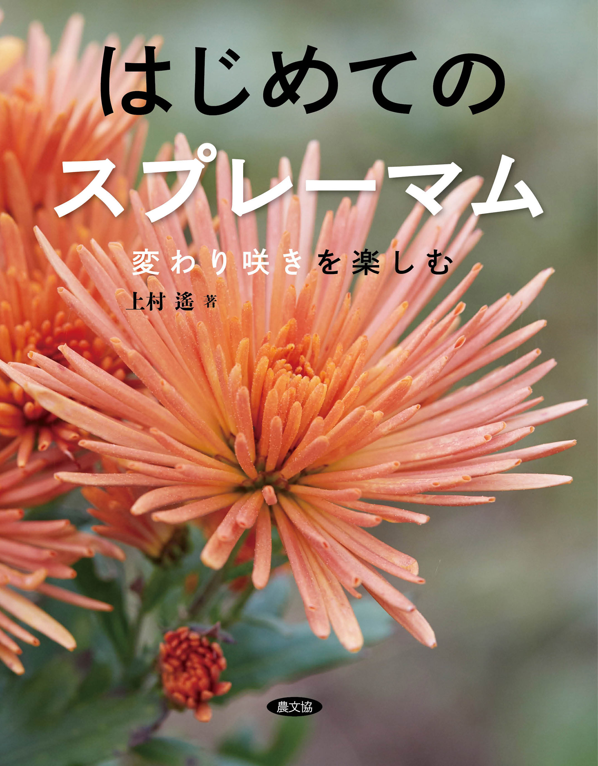 はじめてのスプレーマム