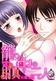 籠の中の二人～あの日から、私は弟の玩具になった～(2)