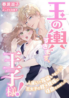玉の輿すぎます、王子様! ~人違いで夜這いをしたら王太子の抱き枕係に任命されました~