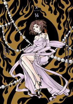 CLAMP PREMIUM COLLECTION X (14)