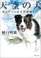 南アルプス山岳救助隊Ｋ-９　天空の犬