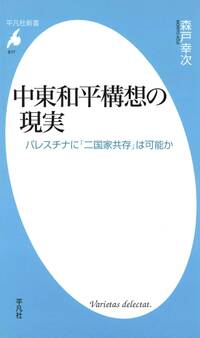 中東和平構想の現実