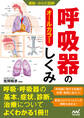 運動・からだ図解 呼吸器のしくみ