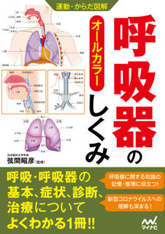 運動・からだ図解 呼吸器のしくみ