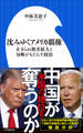 沈みゆくアメリカ覇権 ~止まらぬ格差拡大と分断がもたらす政治~(小学館新書)