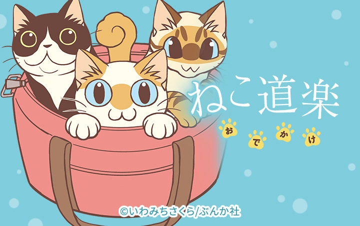 7話無料]ねこ道楽 おでかけ(全9話)|いわみちさくら|無料連載|人気漫画