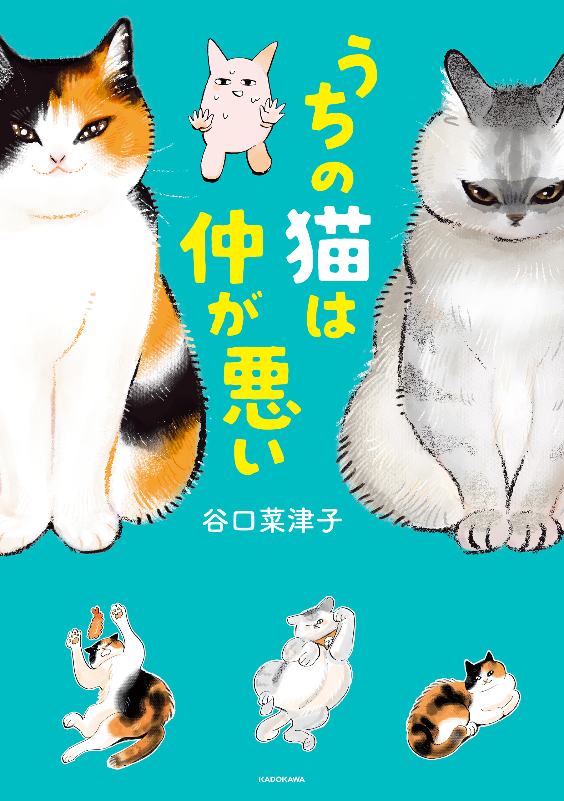 うちの猫は仲が悪い