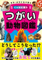 オス・メスくらべるとこんなに違う つがい動物図鑑