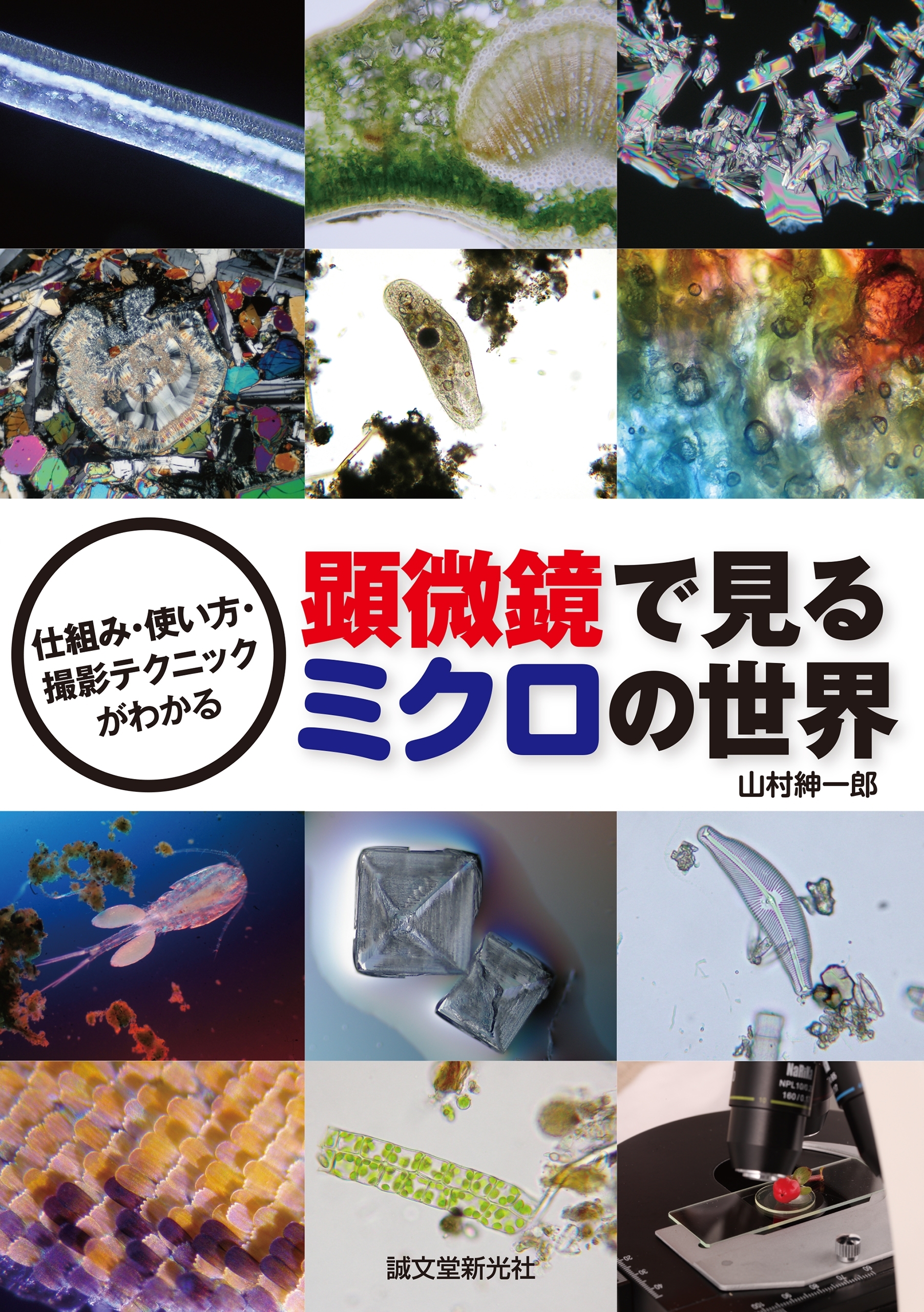 顕微鏡で見るミクロの世界