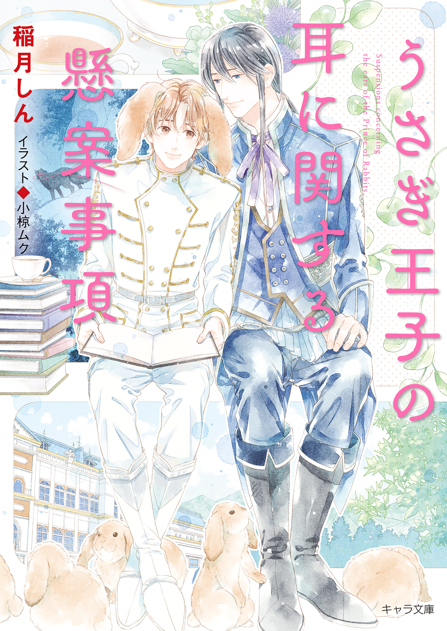 うさぎ王子の耳に関する懸案事項