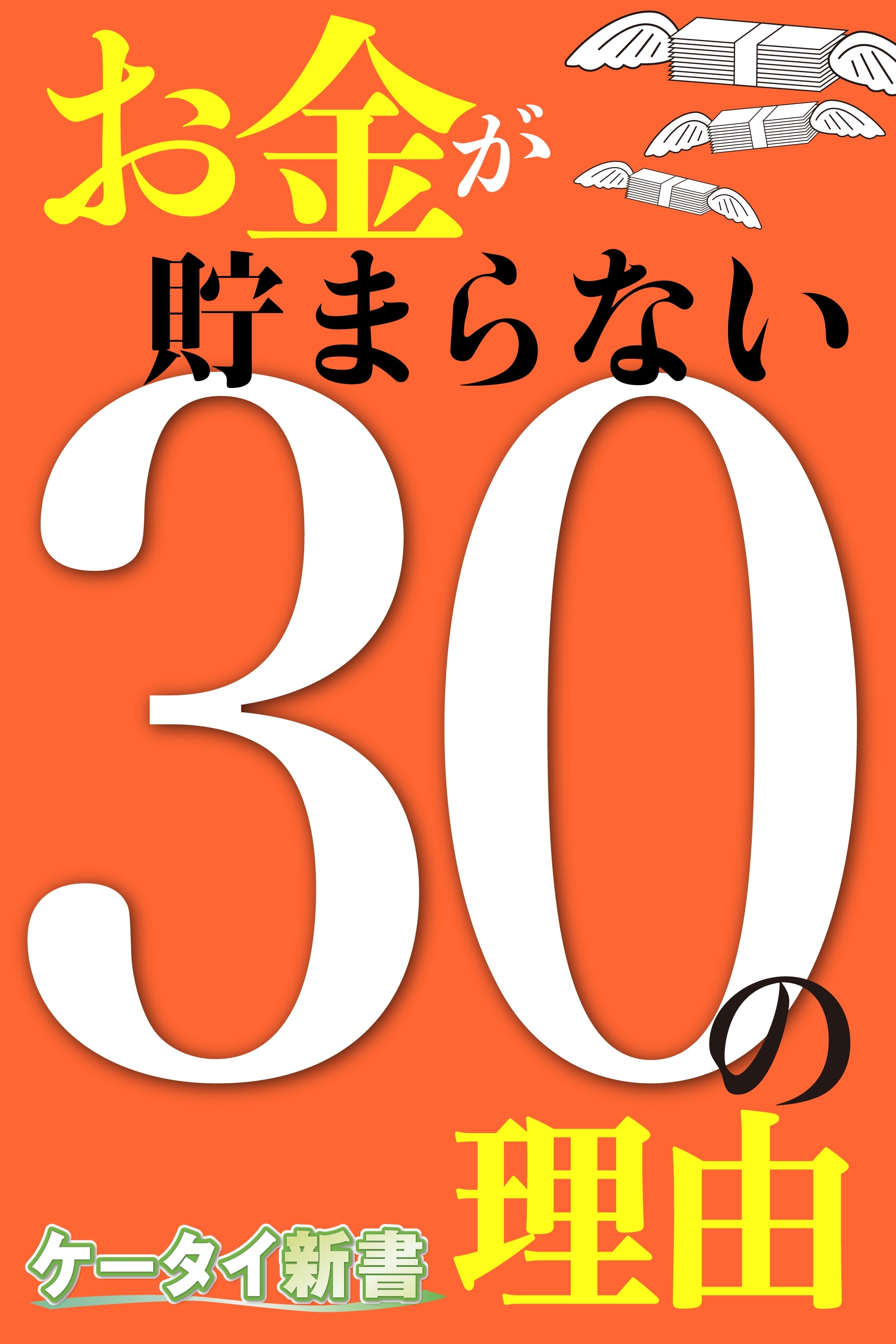 er-お金が貯まらない30の理由