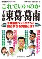これでいいのか千葉県東葛葛南