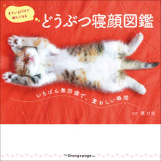 どうぶつ寝顔図鑑 ~いちばん無防備で、愛おしい瞬間~