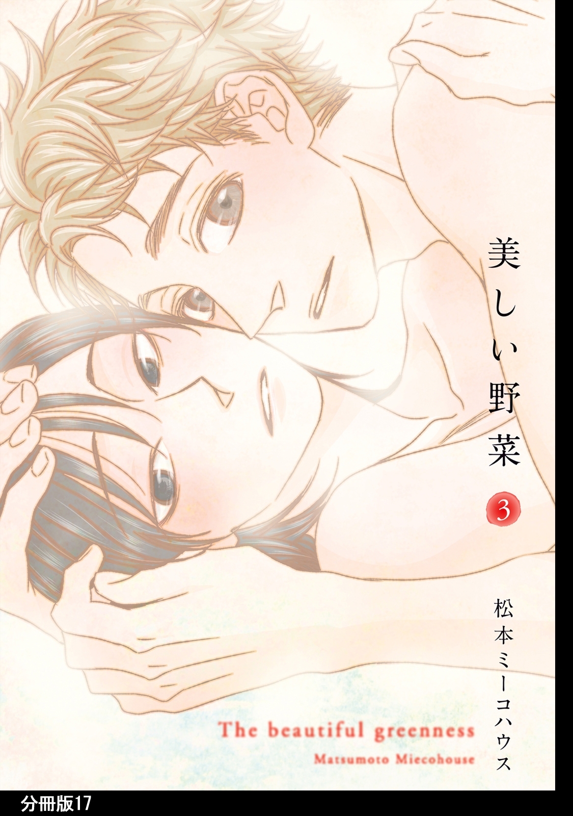 美しい野菜　分冊版