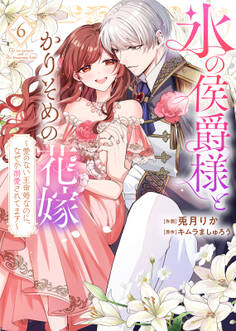 【特装版】氷の侯爵様とかりそめの花嫁~愛のない王命婚なのに、なぜか溺愛されてます~(6)【描き下ろしイラスト付き】