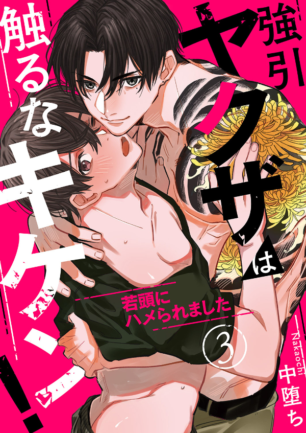 強引ヤクザは触るなキケン！～若頭にハメられました３