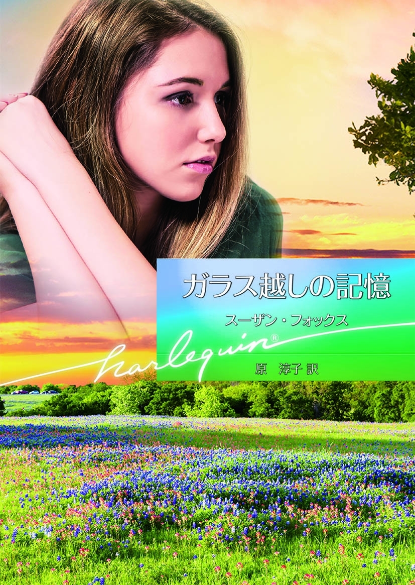 ガラス越しの記憶【ハーレクイン文庫版】