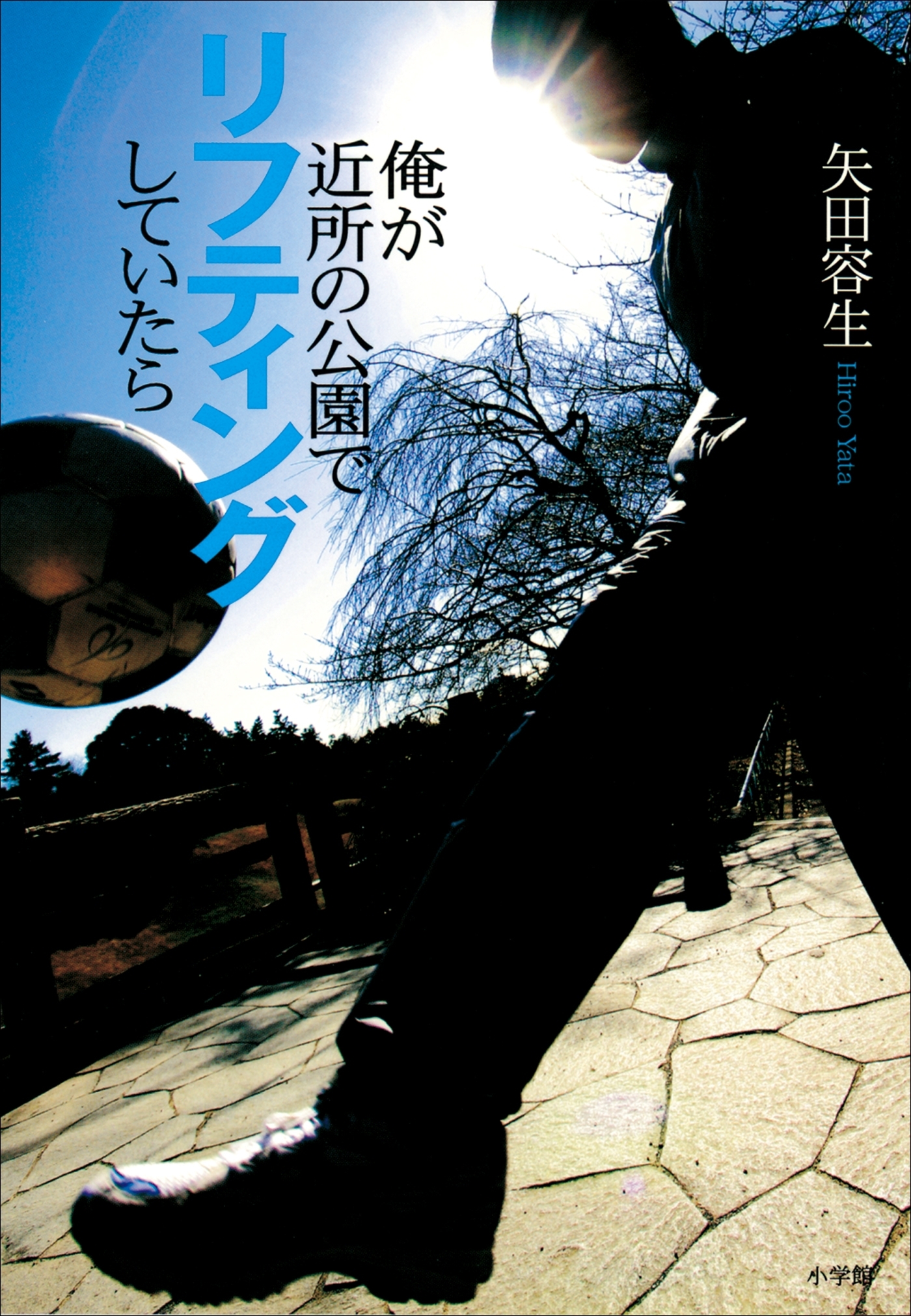 俺が近所の公園でリフティングしていたら