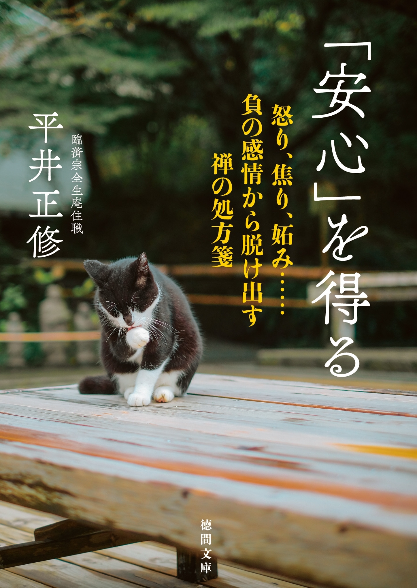 「安心」を得る　怒り、焦り、妬み……負の感情から脱け出す禅の処方箋