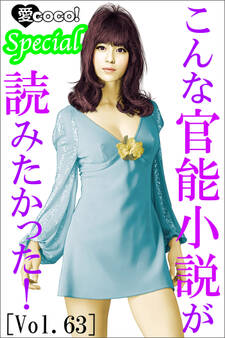 こんな官能小説が読みたかった!vol.63