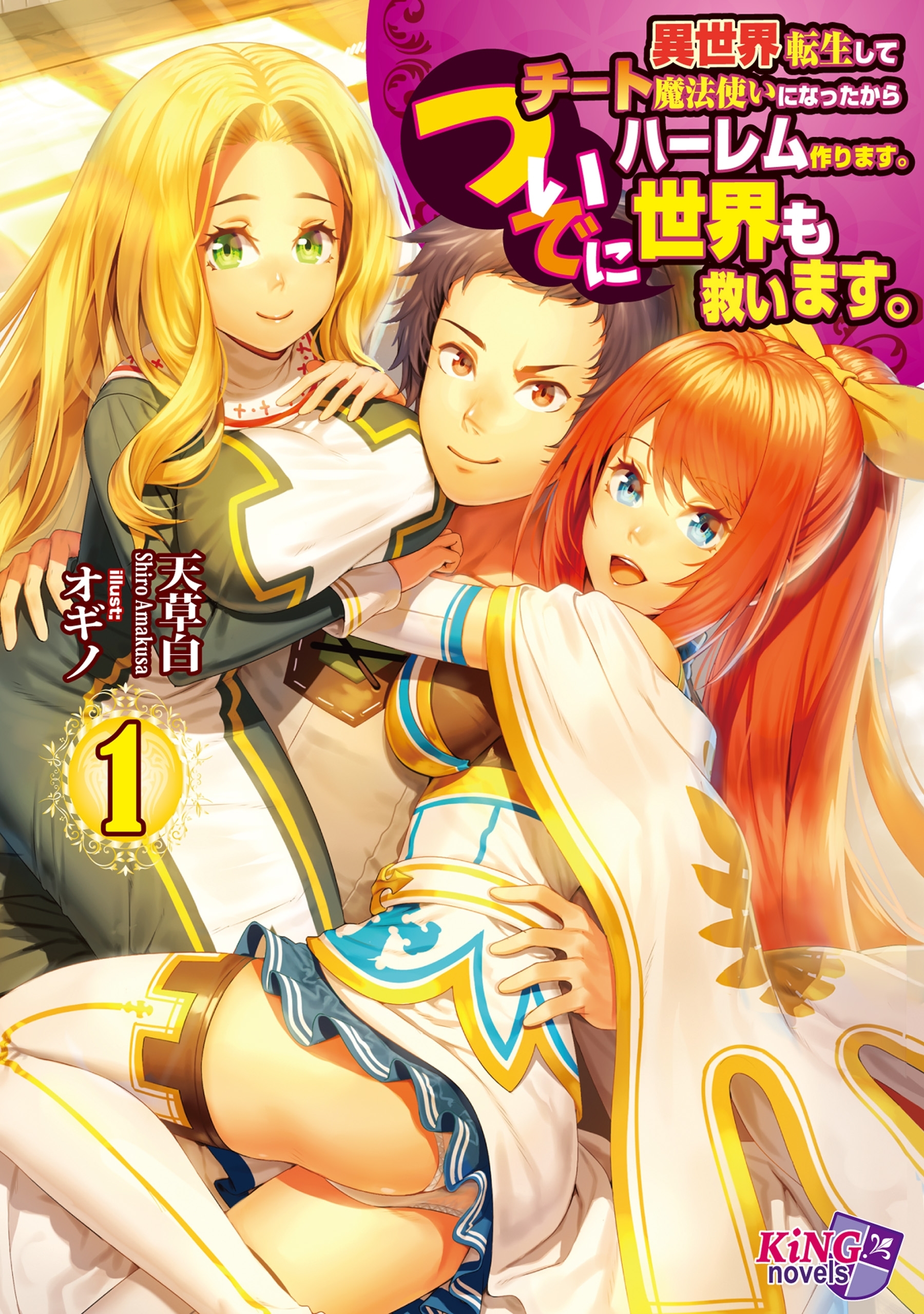 異世界転生してチート魔法使いになったからハーレム作ります。ついでに世界も救います。１