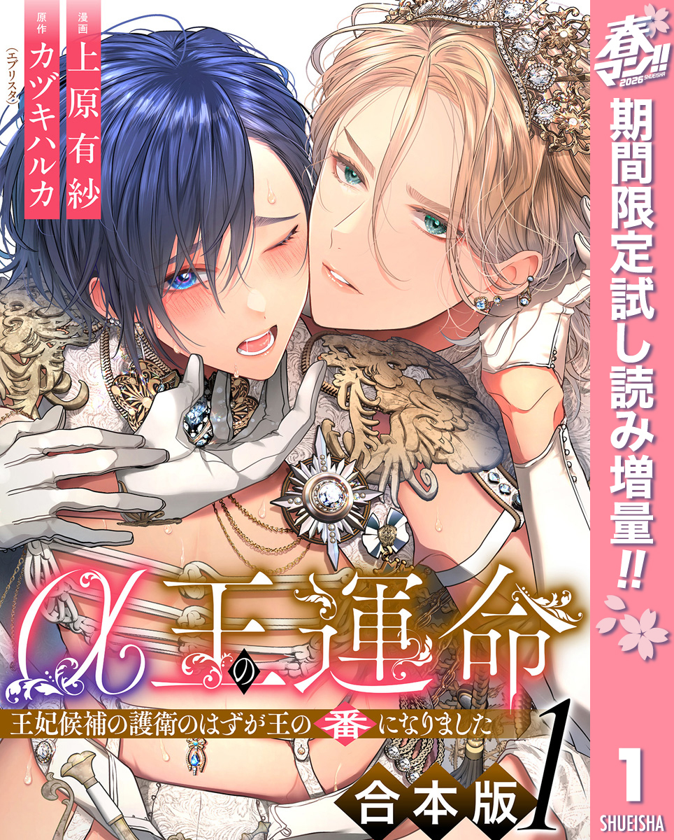 【合本版】α王の運命～王妃候補の護衛のはずが王の番になりました～【期間限定試し読み増量】 1