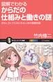 図解でわかる からだの仕組みと働きの謎