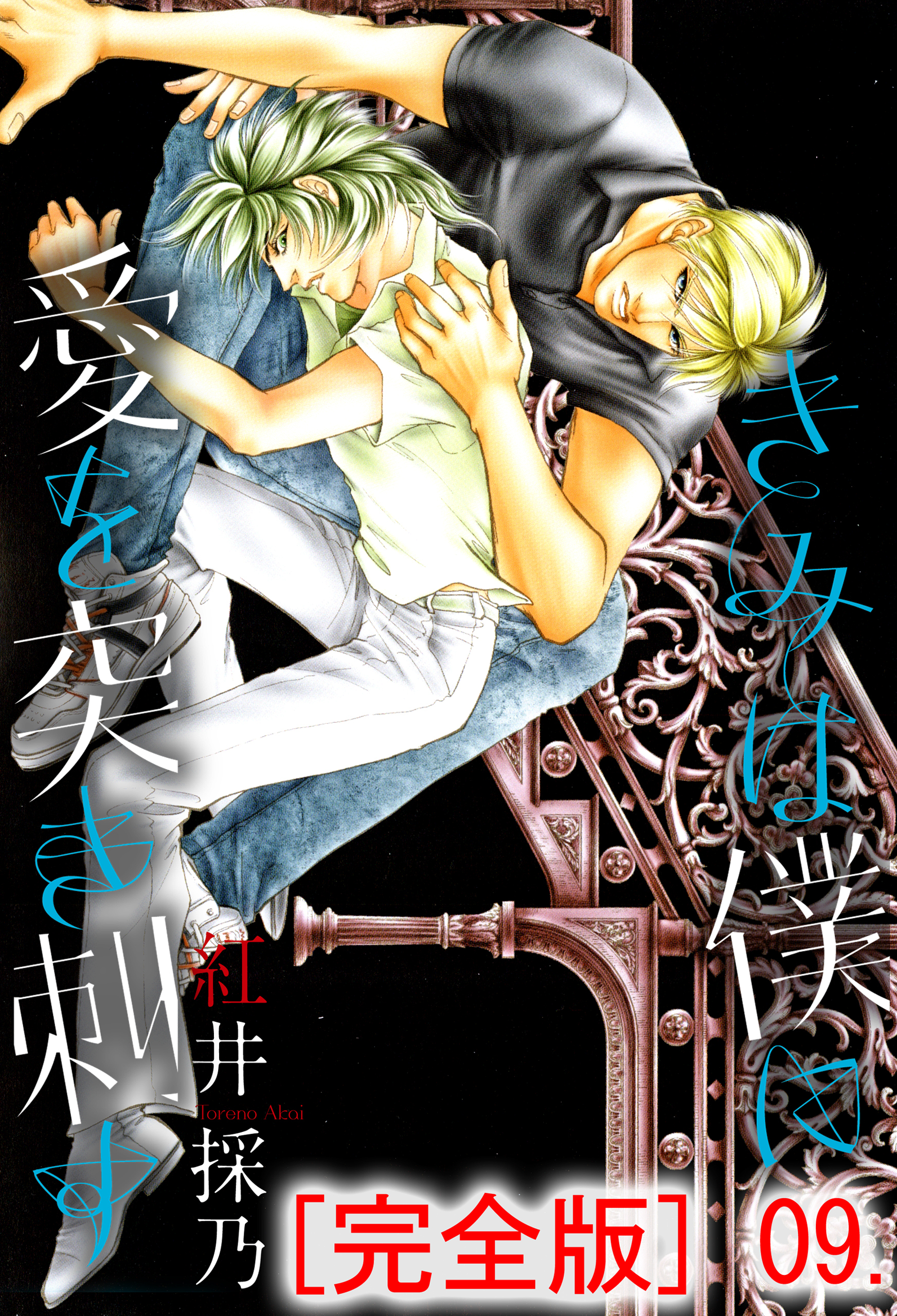 きみは僕に愛を突き刺す【完全版】　9