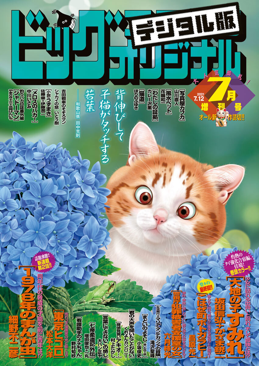 ビッグコミックオリジナル増刊　2021年7月増刊号（2021年6月11日発売）