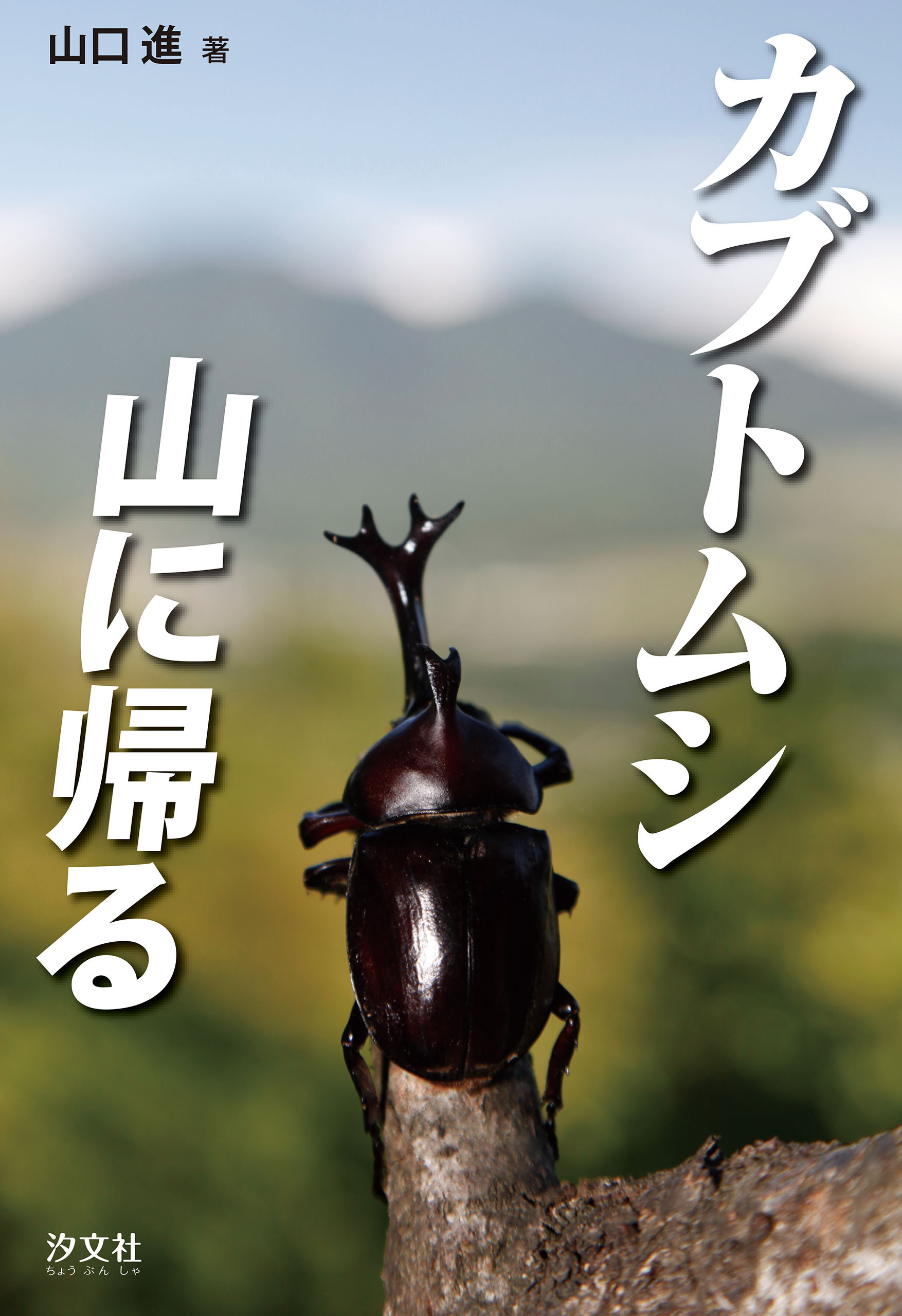 カブトムシ　山に帰る