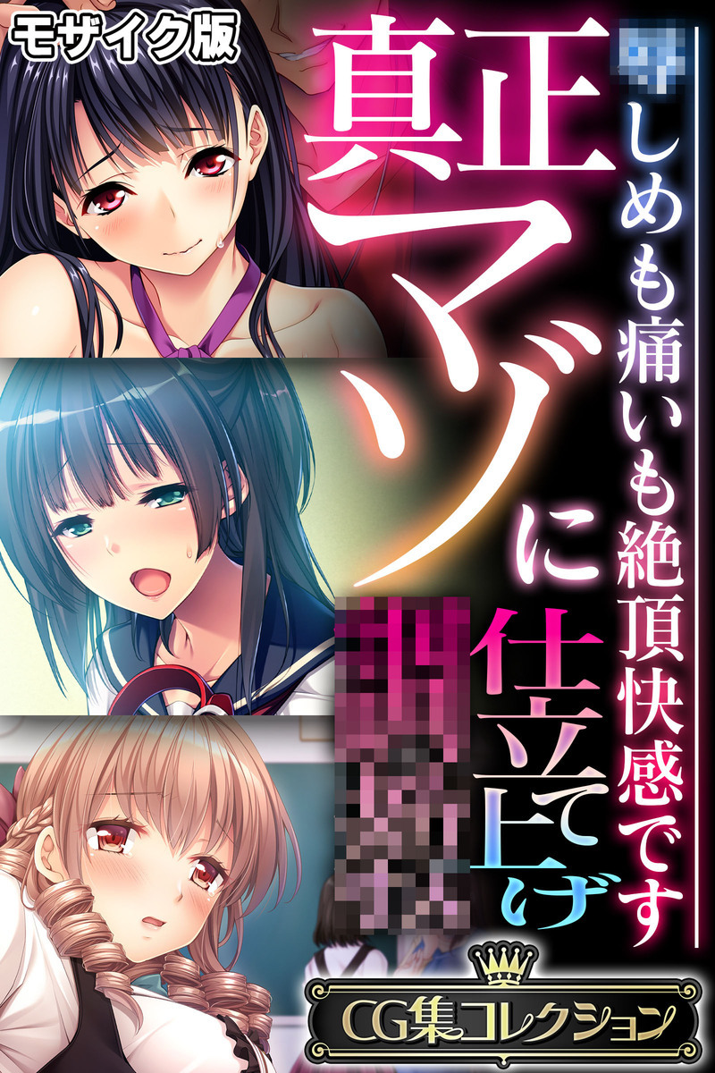 真正マゾに仕立て上げ●● ～●しめも痛いも絶頂快感です～【CG集コレクション】 モザイク版