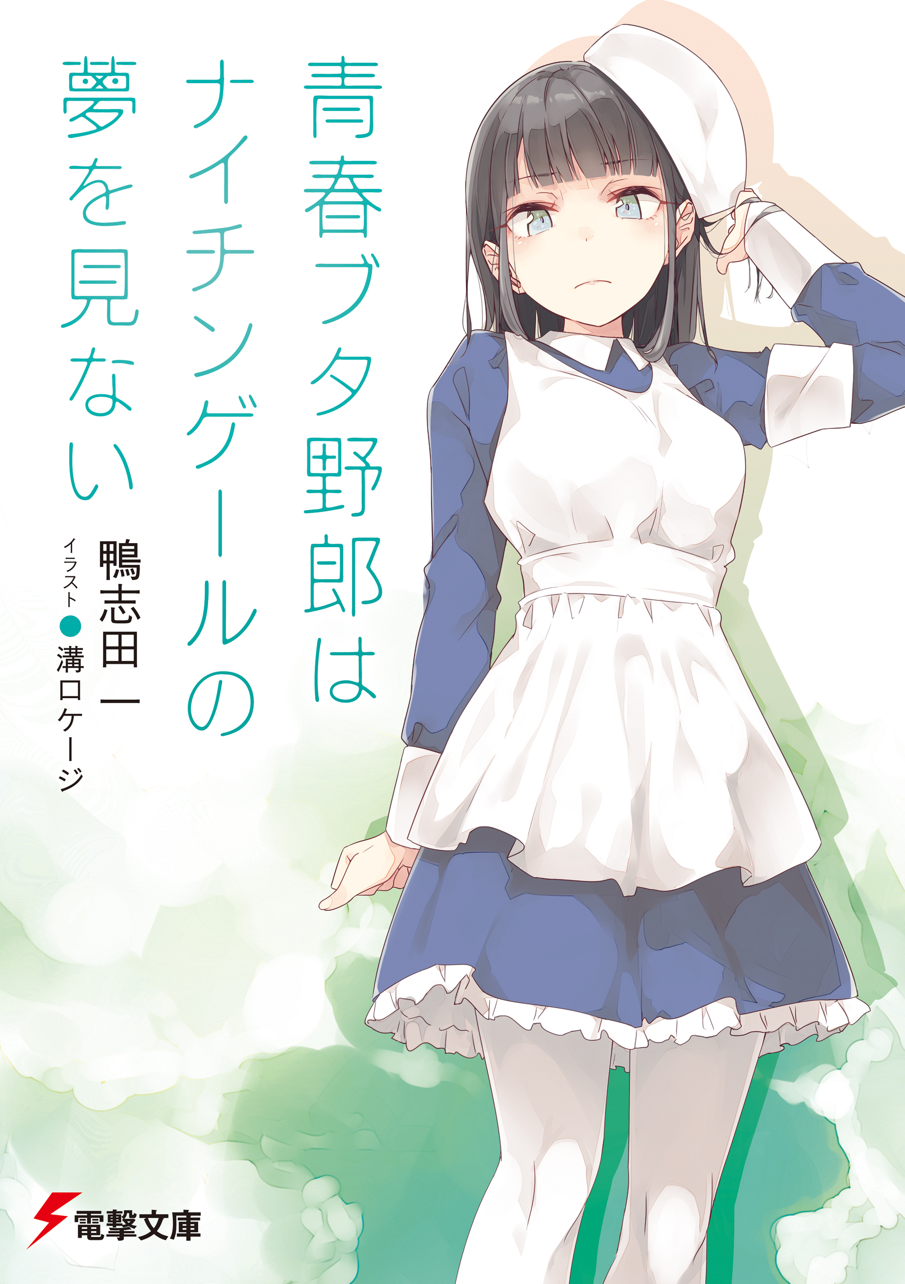 青春ブタ野郎はナイチンゲールの夢を見ない