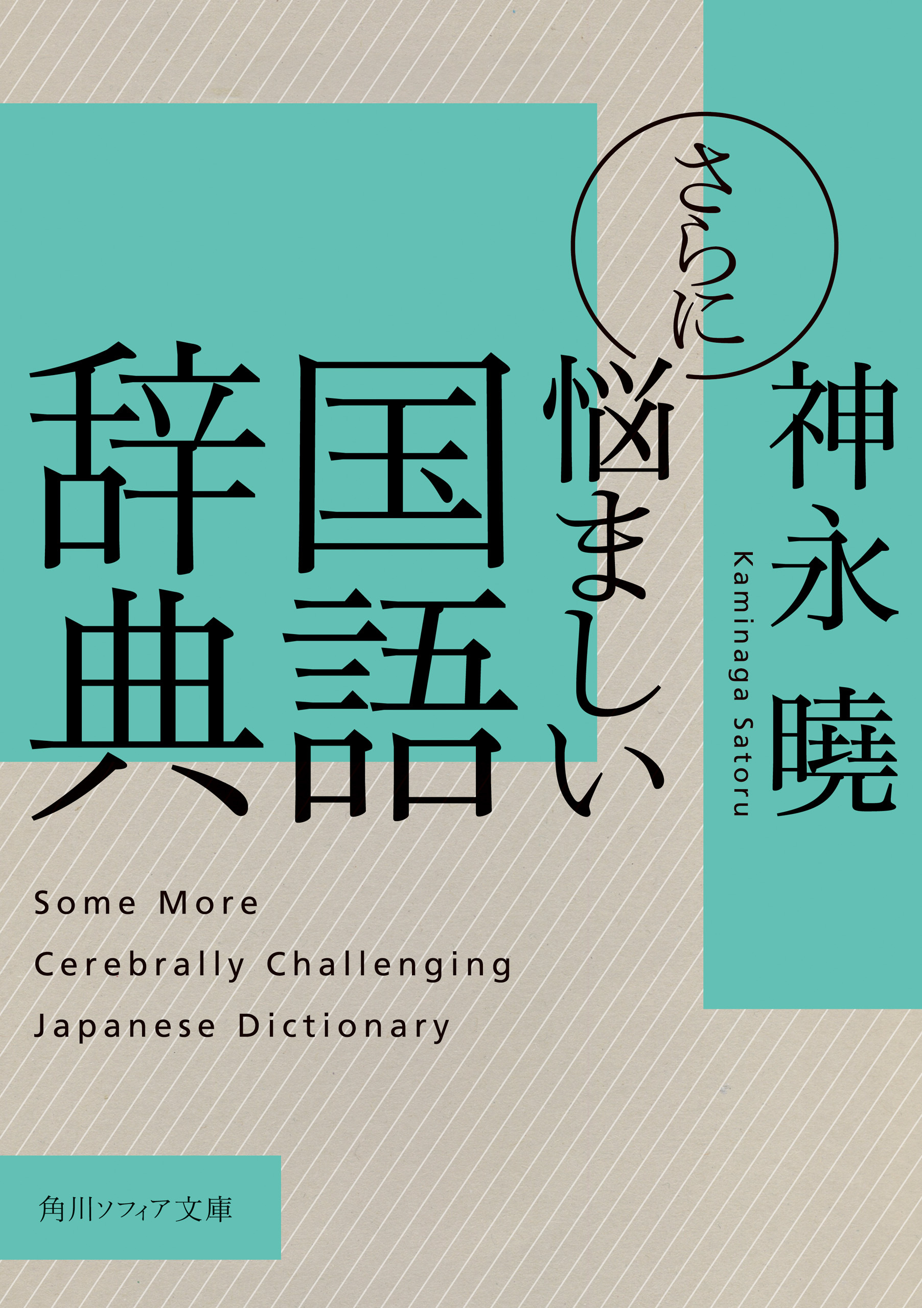 悩ましい国語辞典